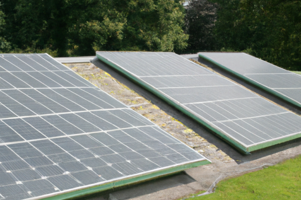Zonnepanelen Op Een Groen Dak 1024x1024 1320713.png